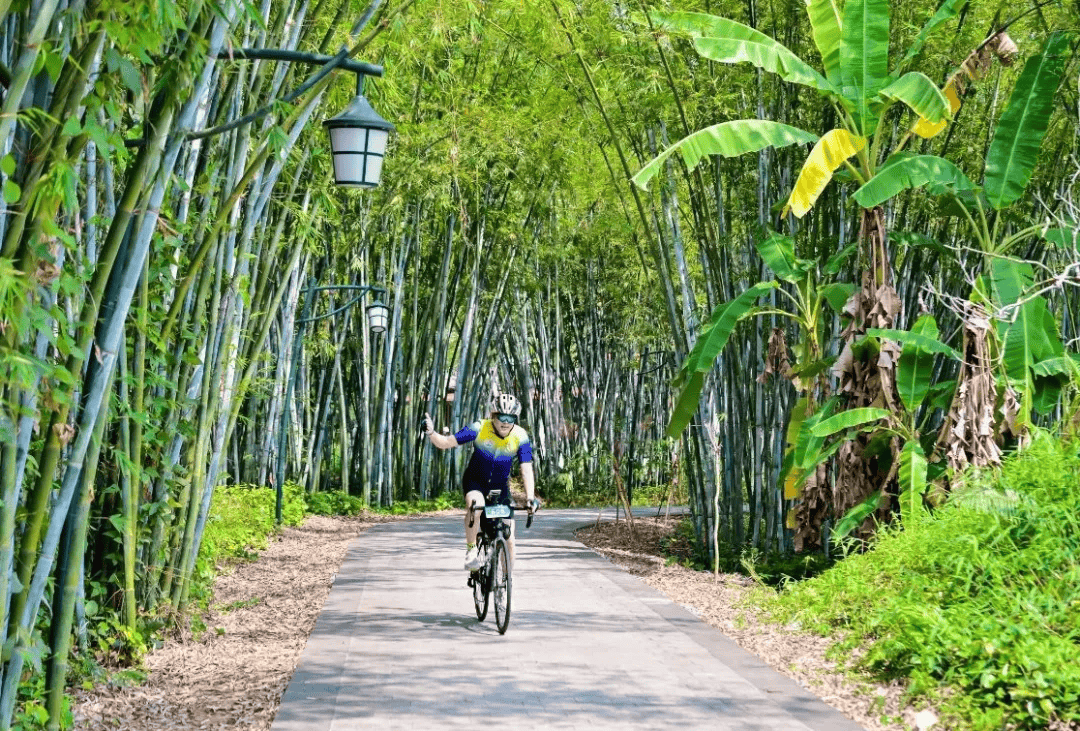 kaiyun xiazai-环境友好型自行车挑战赛,绿色运动风潮的简单介绍