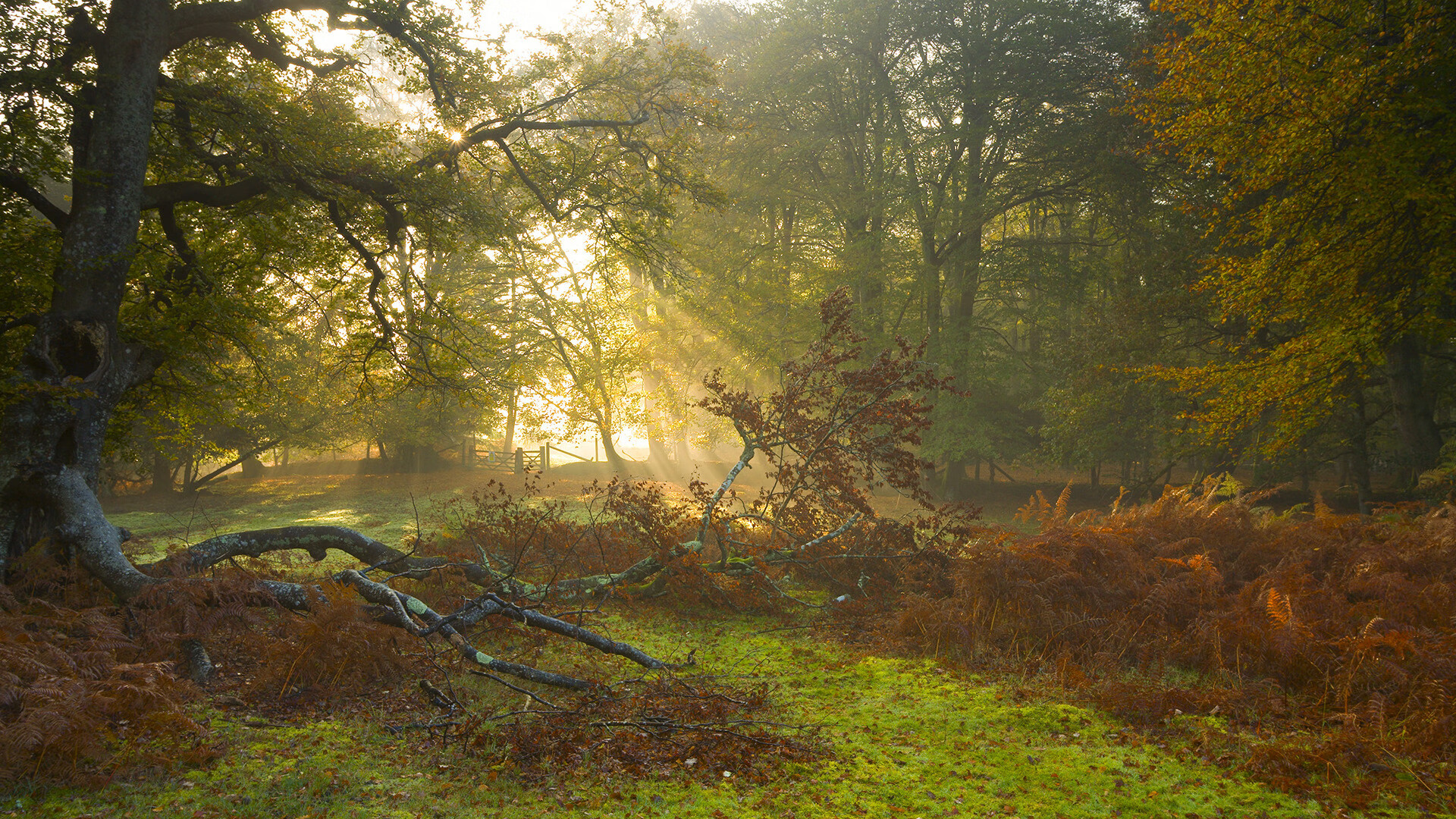 开云体育官网-快船险胜国王,伦纳德最后2分钟连得9分制胜,快船的伦纳德
