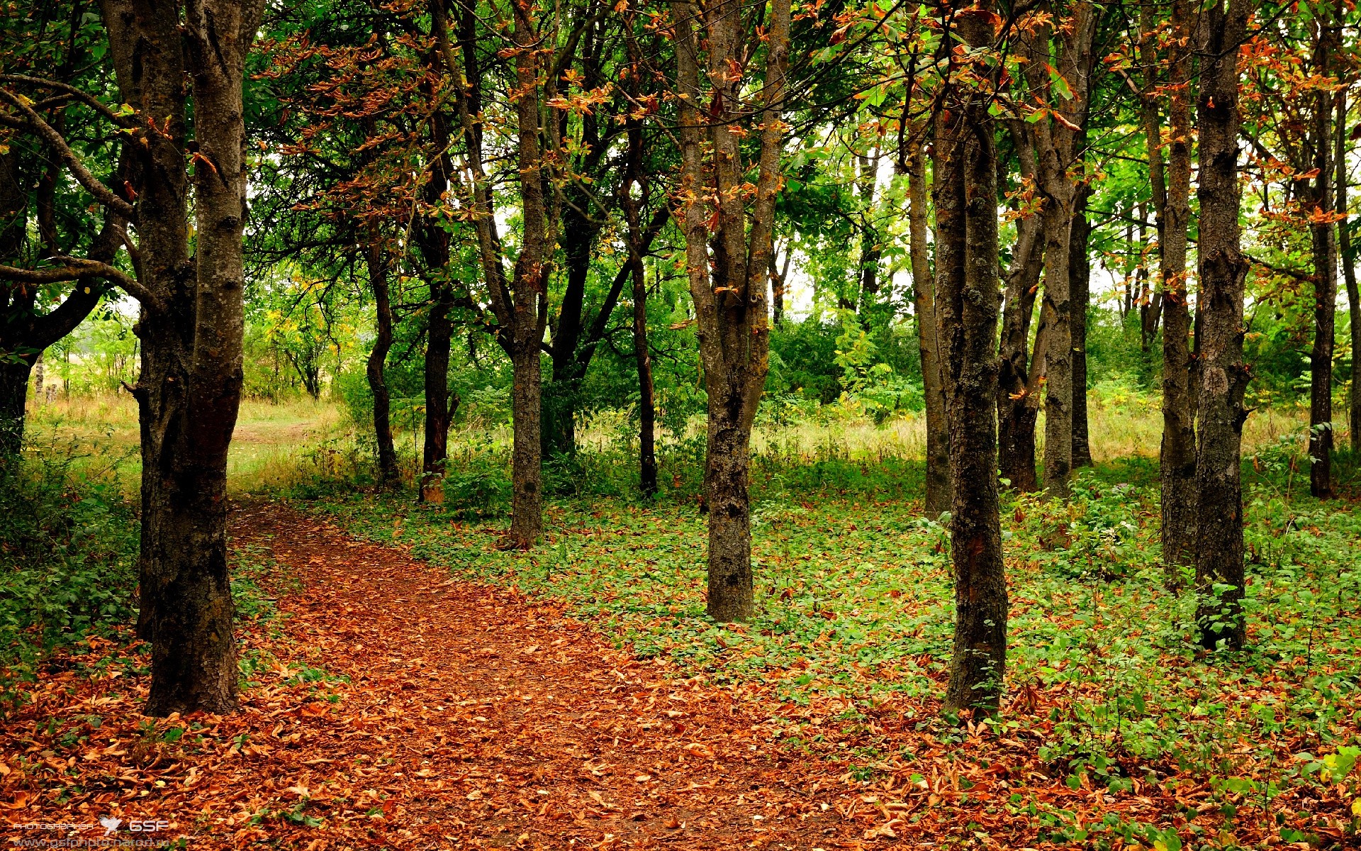 kaiyun app download-热火艰难赢球巴特勒关键抢断，2020年热火巴特勒