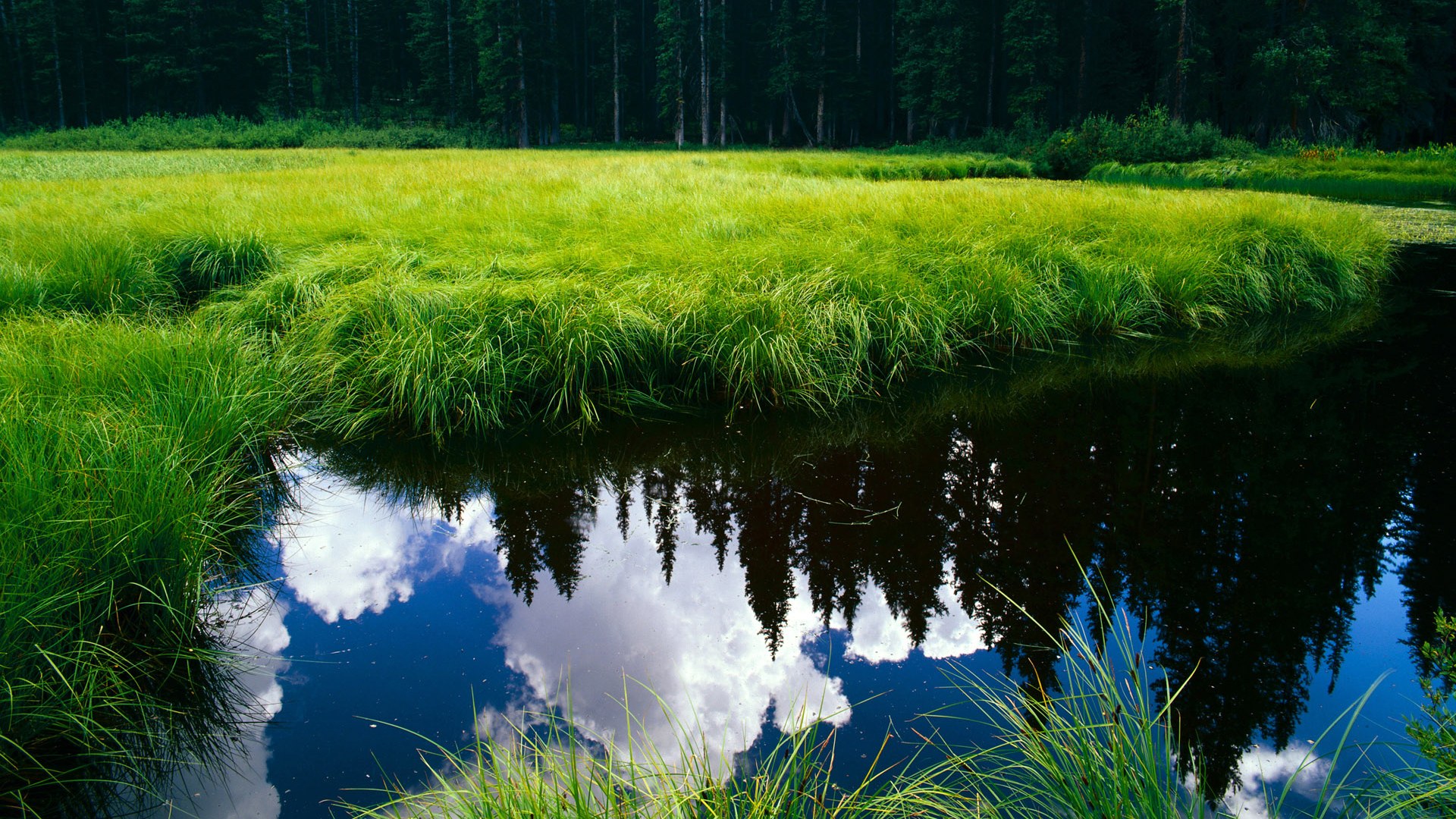 开云体育官方网站-体育赛事多渠道营销方案，体育赛事的营销策略有哪些