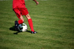 kaiyun-校园足球师资培训体系建设方案,校园足球特色学校教师(教练员)线上培训