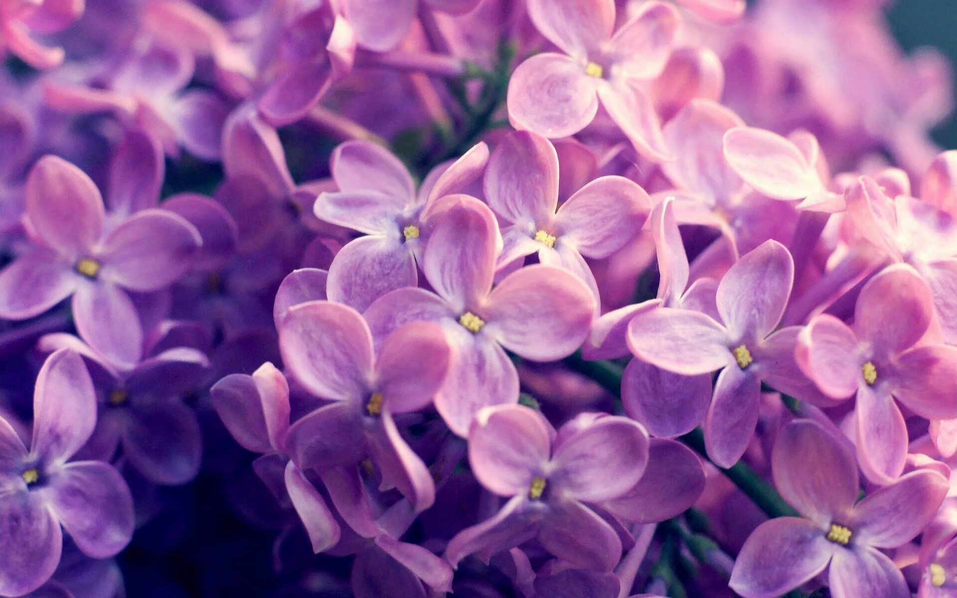 开云体育下载网页版-城市德比再次上演两队对攻激烈裁判频频介入保持比赛秩序,cba京城德比