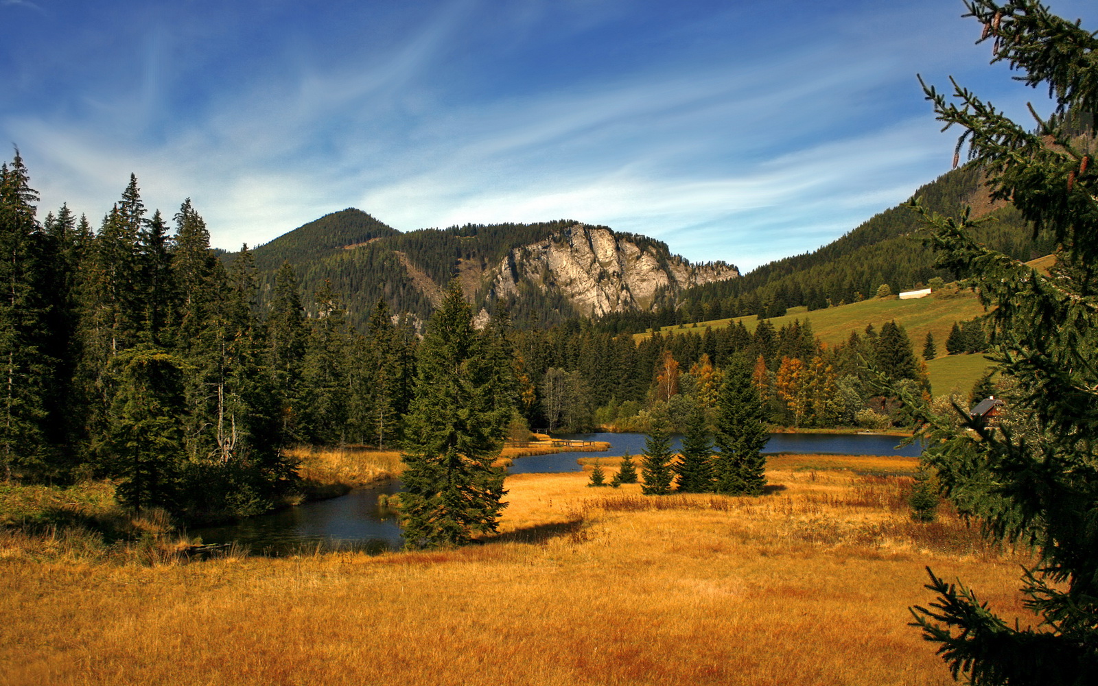 Kysports-巴西青训持续升级，出产世界级足球天才