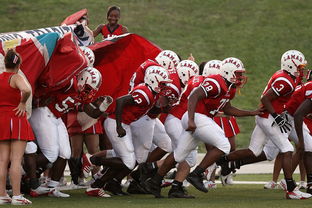 开云体育手机版-球迷助威声点燃比赛氛围，球迷助威口号