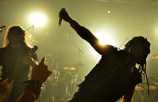 开云体育手机版-球迷助威声点燃比赛氛围,球迷助威口号